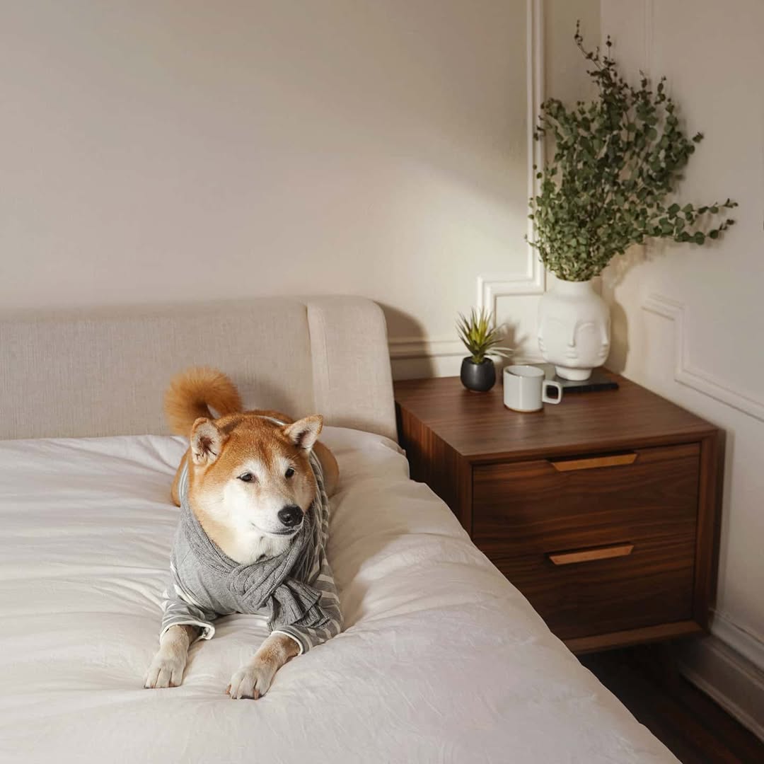 mensweardog