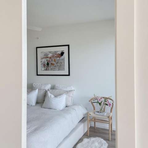 Image by @anishavamin