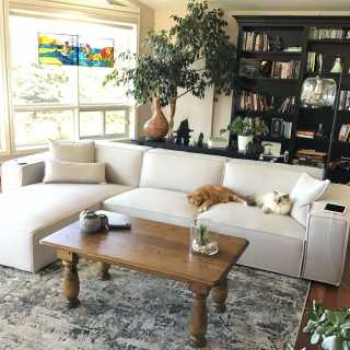 Image by Cindy Morin Image by Cindy Morin