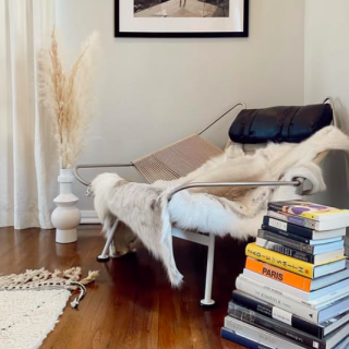 Flag Halyard Chair | Hans Wegner | Reproduction
