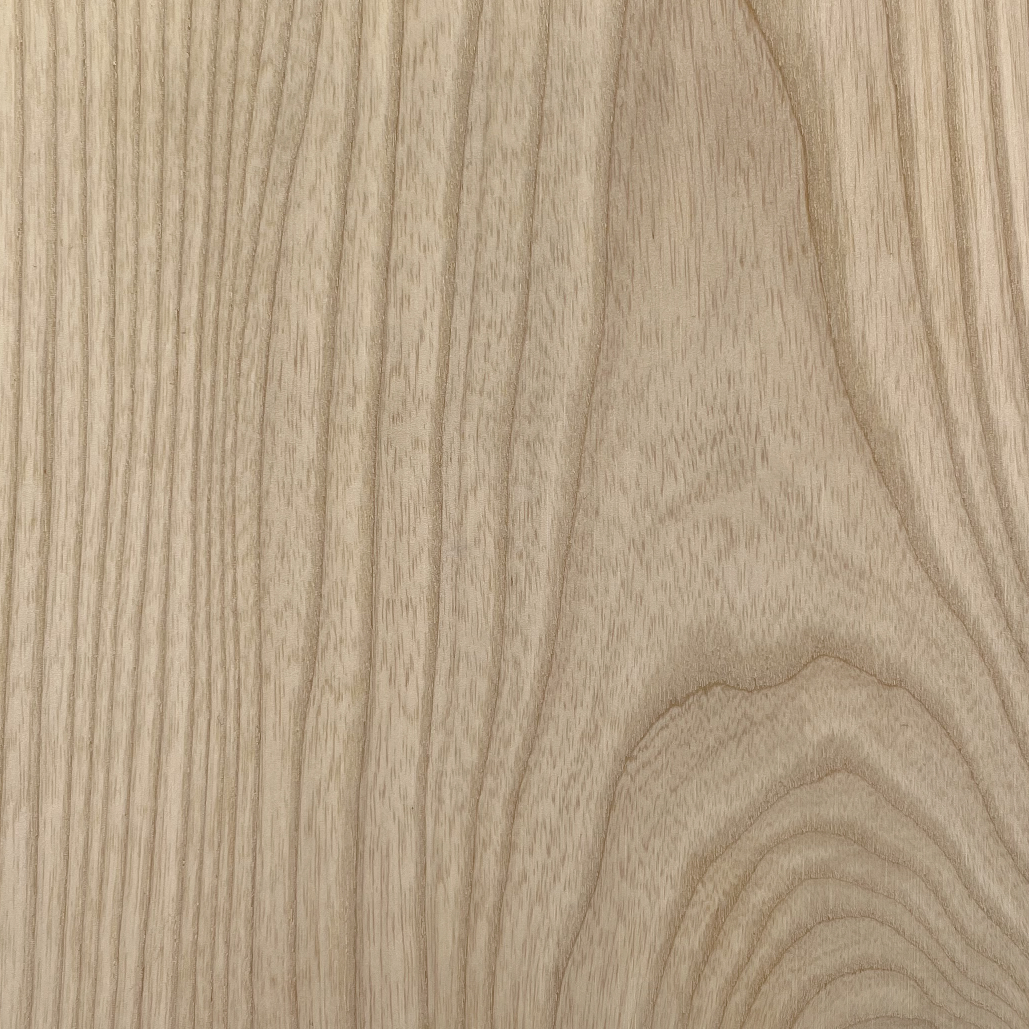 Kyoto Light Ash