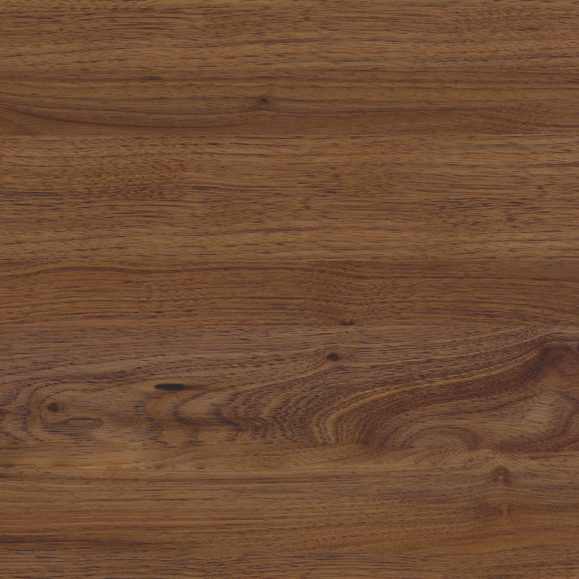 Walnut Stain